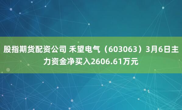 股指期货配资公司 禾望电气（603063）3月6日主力资金净买入2606.61万元