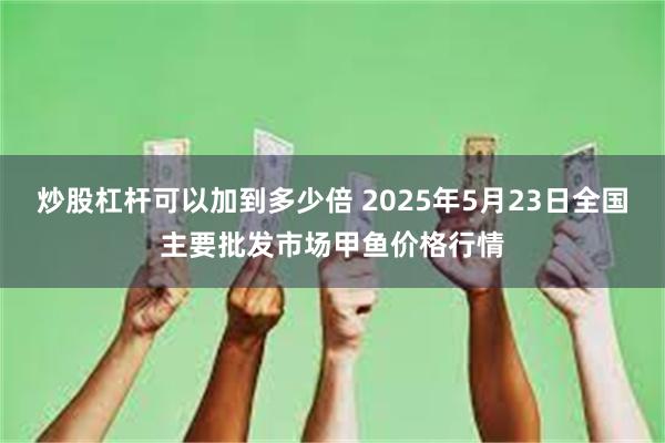 炒股杠杆可以加到多少倍 2025年5月23日全国主要批发市场甲鱼价格行情