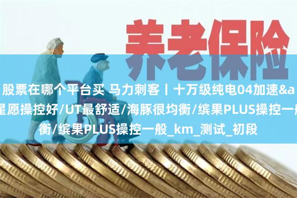 股票在哪个平台买 马力刺客丨十万级纯电04加速&马力对决！ 星愿操控好/UT最舒适/海豚很均衡/缤果PLUS操控一般_km_测试_初段