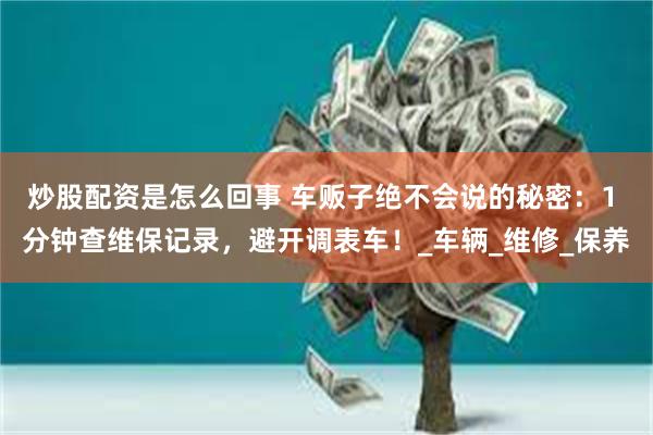 炒股配资是怎么回事 车贩子绝不会说的秘密：1 分钟查维保记录，避开调表车！_车辆_维修_保养